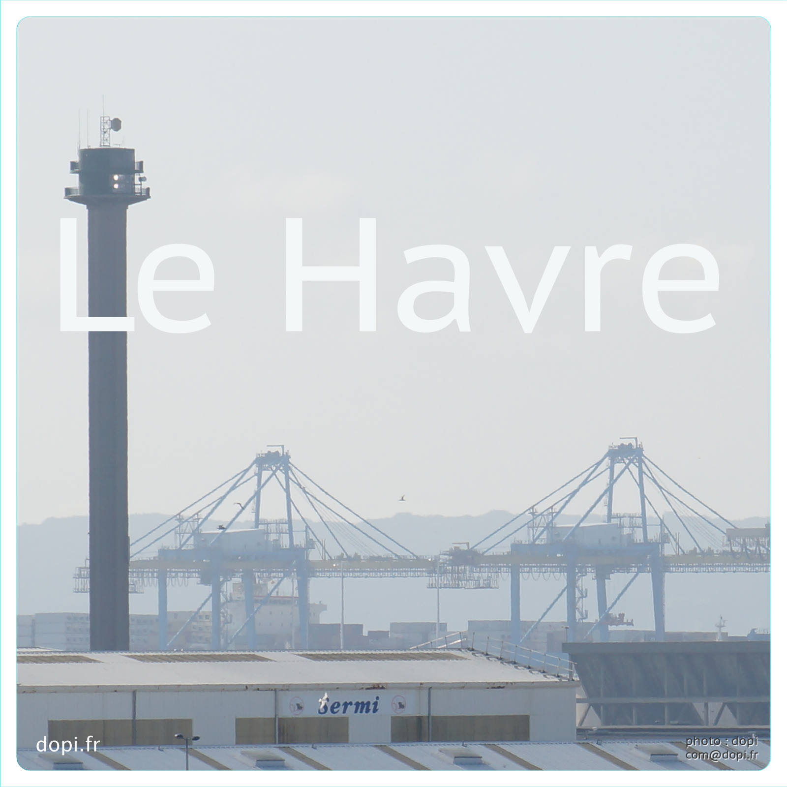 00029 S23,medium large.2x.1483111831